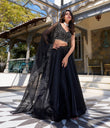 Spellbinding Satin Pearl Cording Sequins Worked Lehenga Set - ETHNICDEAL